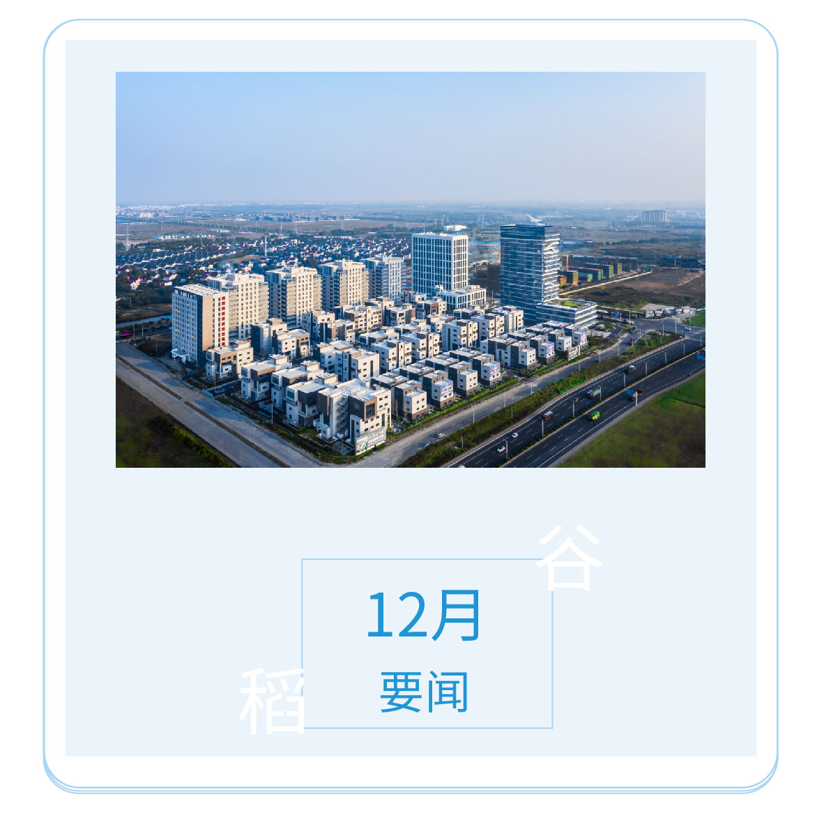 稻谷产业园十二月要闻